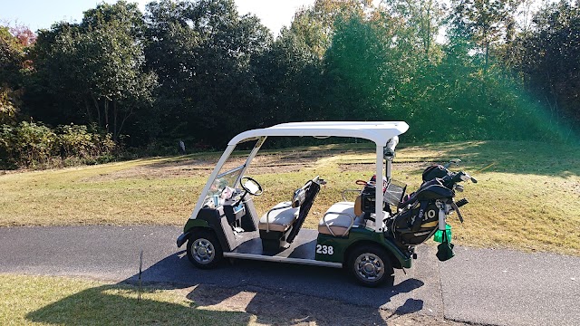 Forest Miki Golf Club - Photo 4