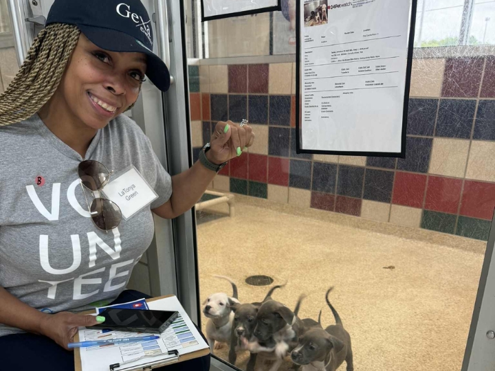 Gexa Energy - Energy & Home Automation in Houston