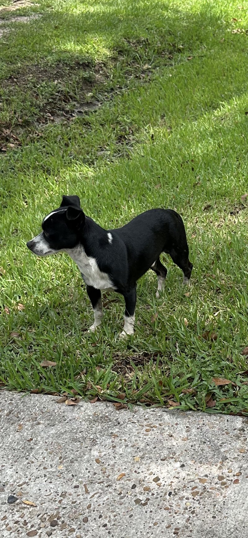 Gexa Energy - Energy & Home Automation in Houston