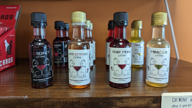 The Cafe Meow photo 2