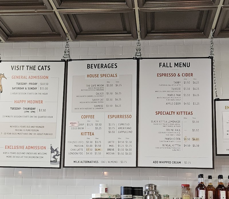 The Cafe Meow photo 4