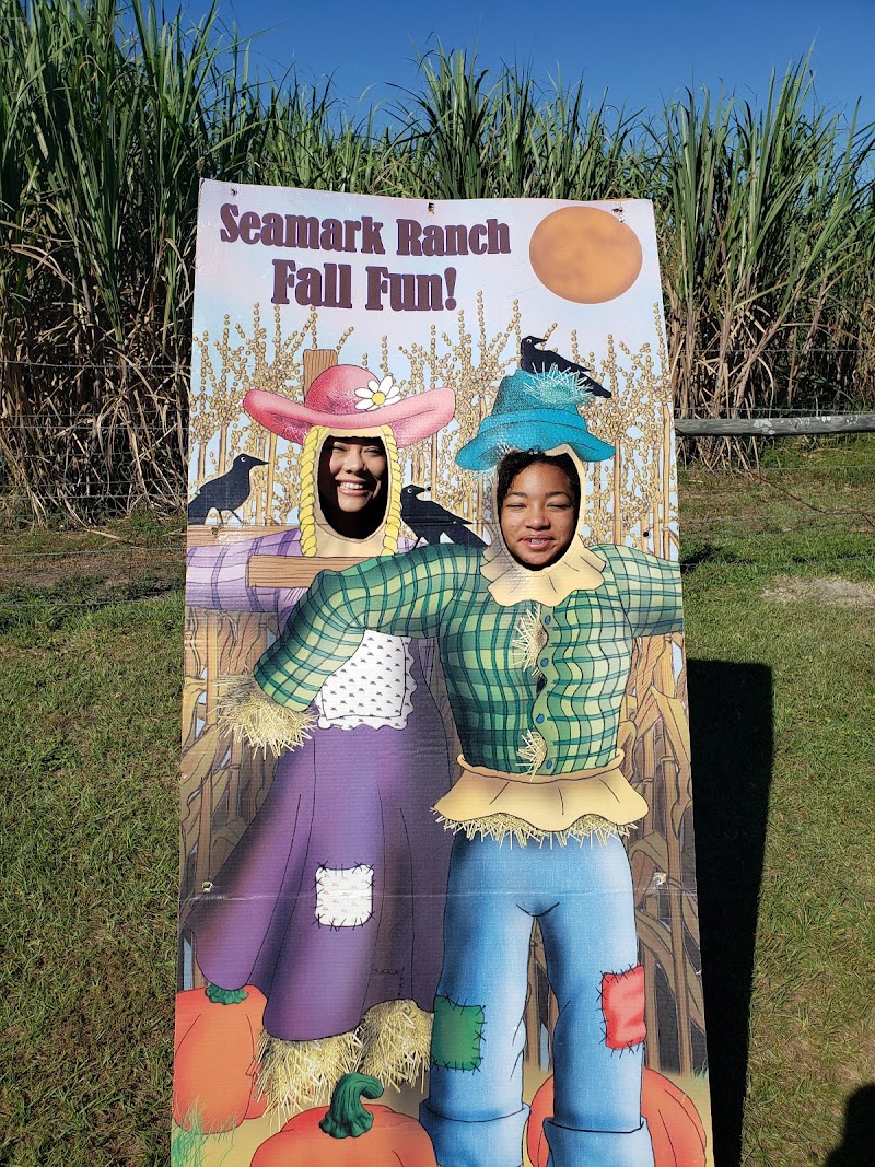 Seamark Ranch - Photo 4