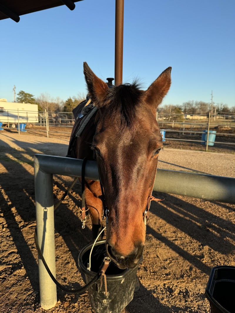 River Ranch at Texas Horse Park - Photo 2