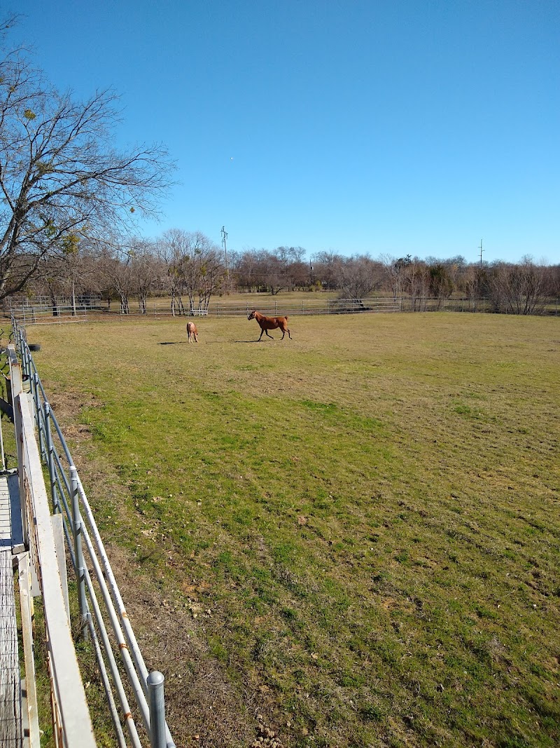 River Ranch at Texas Horse Park - Photo 3
