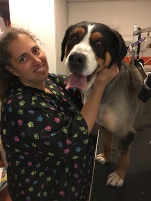 מרפאה וטרינרית דר' צחי טיבולי