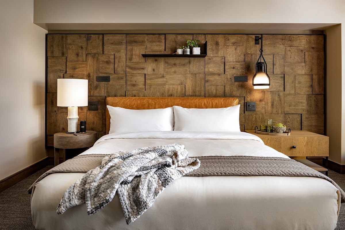 1 Hotel San Francisco, dog-friendly hotel