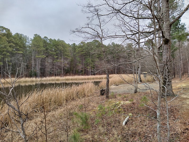 ​Buckhorn Disc Golf Course photo 5