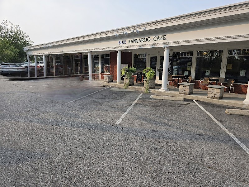 Blue Kangaroo Café photo 3