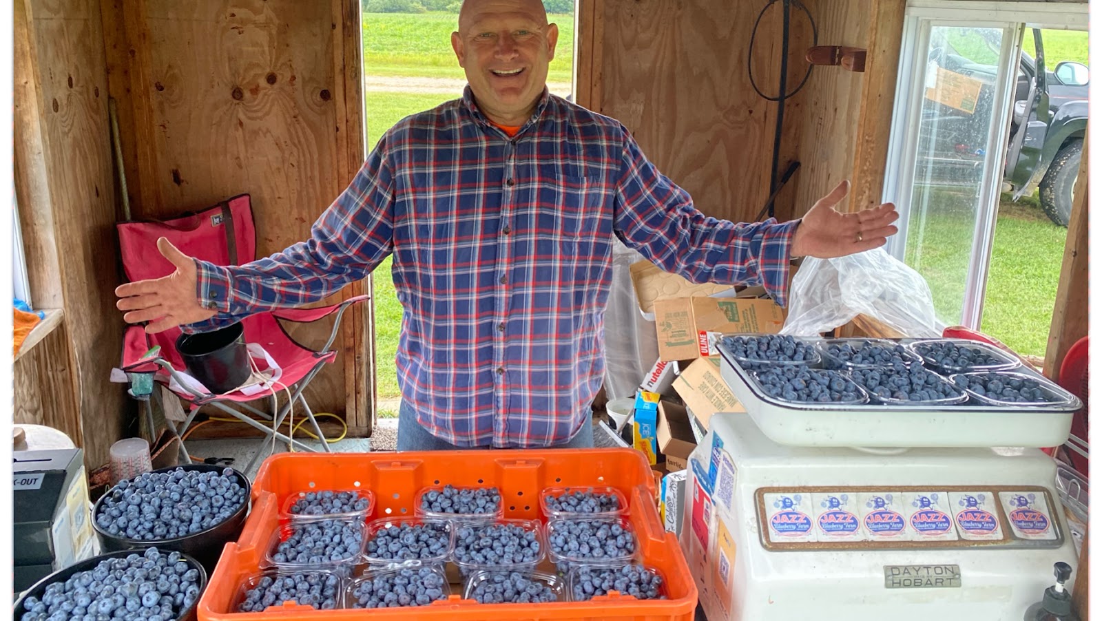 Jazz U-pick Blueberries main