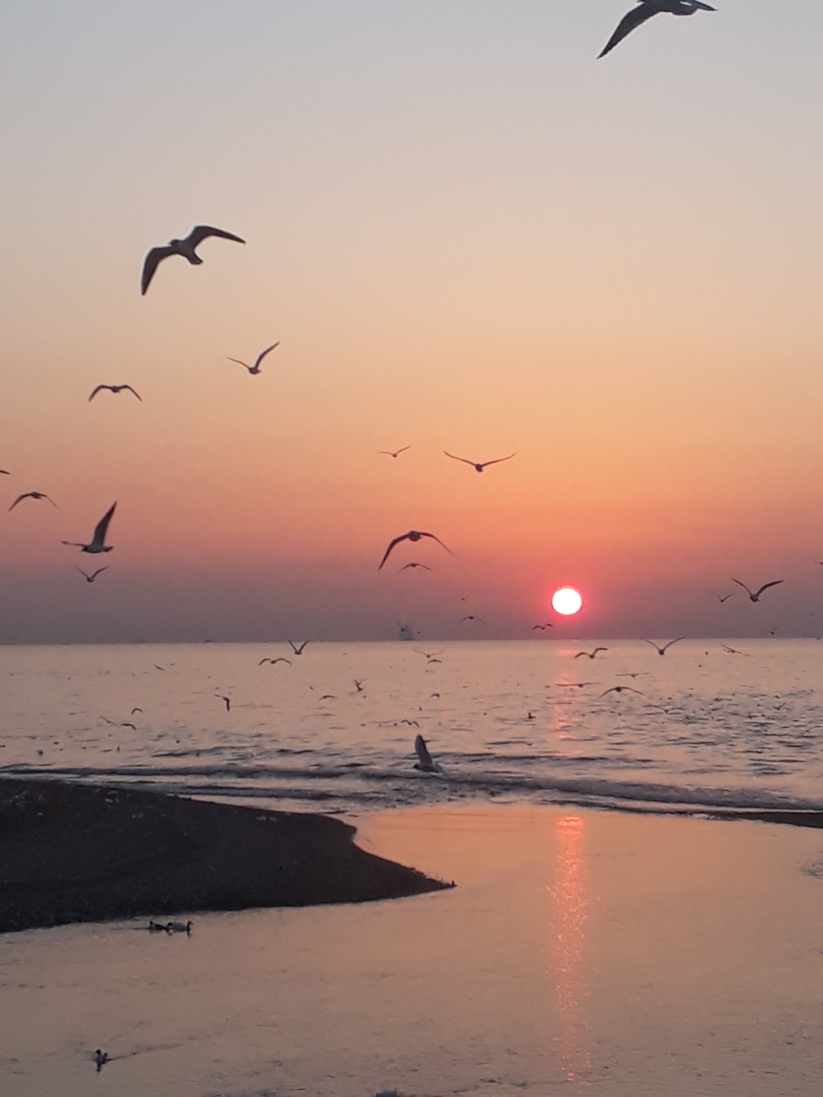 Plaj - Beach - Strand mekanı