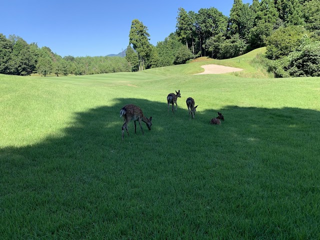 Kamiishizu Golf Club - Photo 10