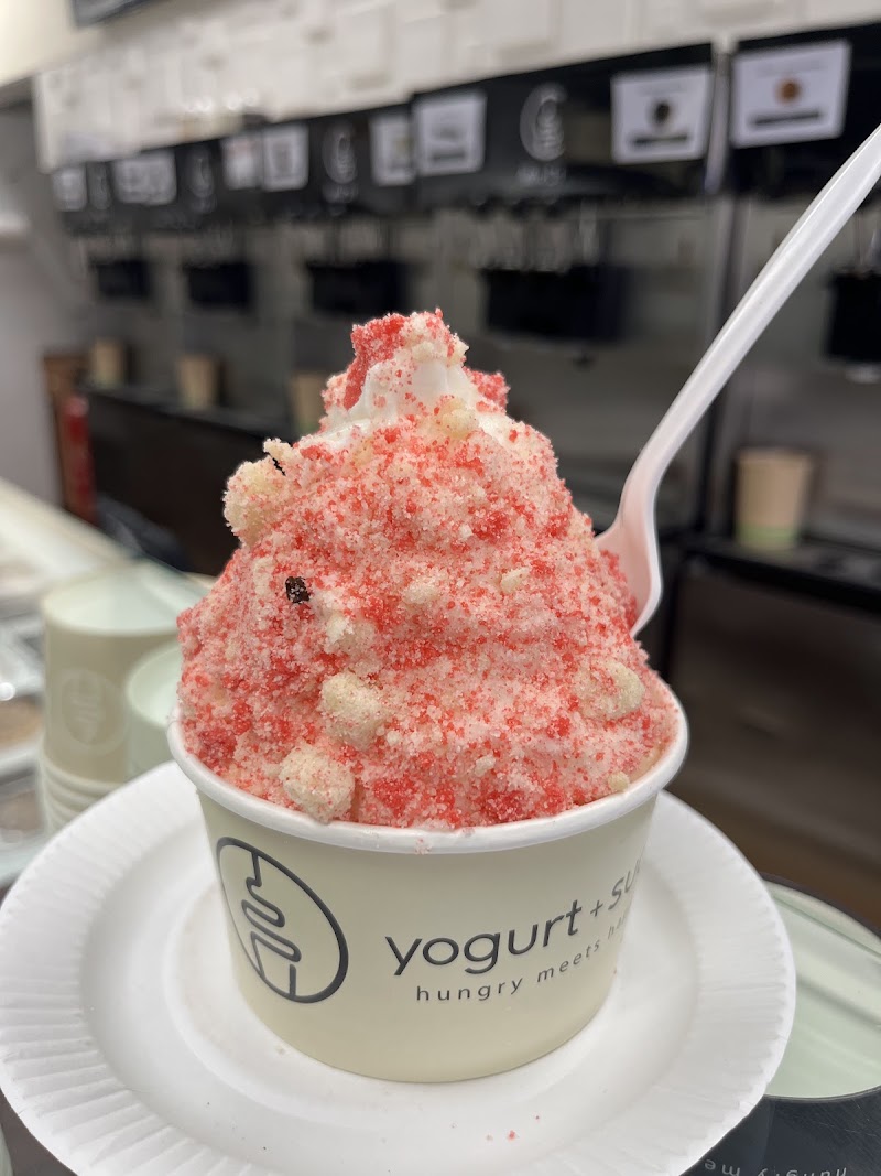 Yogurt & Such Cafe photo 3