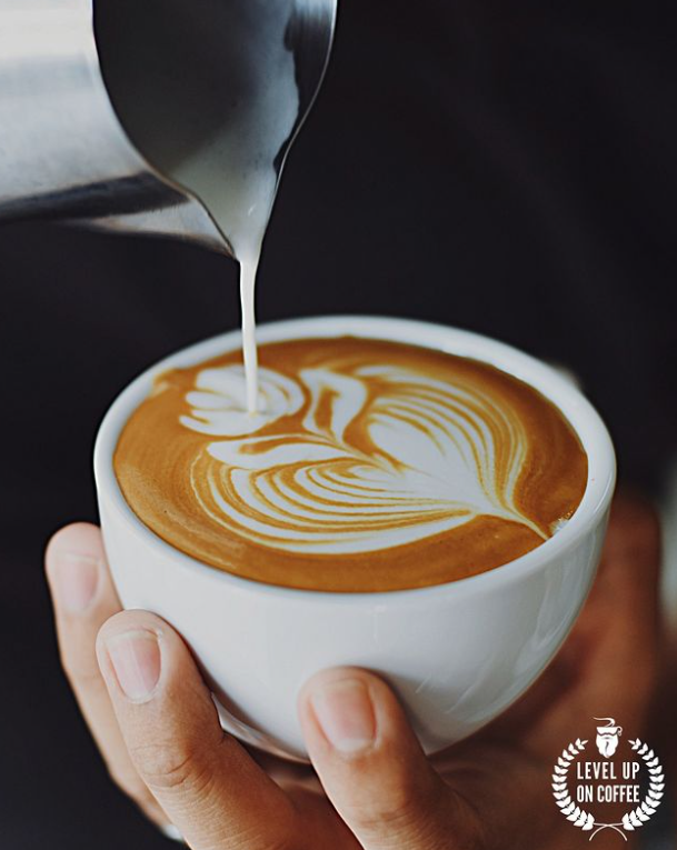 Barbarossa Coffee Roasters photo 4