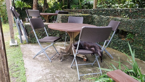 沖縄そばと茶処 屋宜家