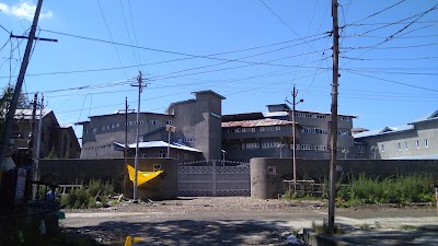 Maternity Hospital (Soura) New Block - Image 3