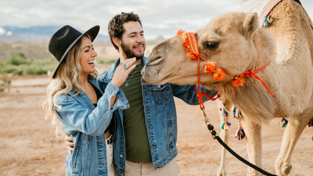 Camel Safari Las Vegas