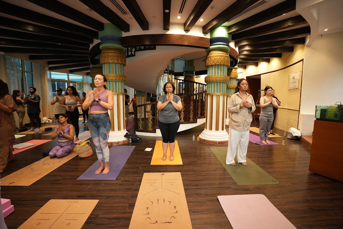 Lys̅ - Yoga | Wellness | Lifestyle — 3