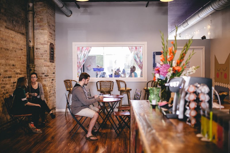 Happy Cat Cafe photo 1