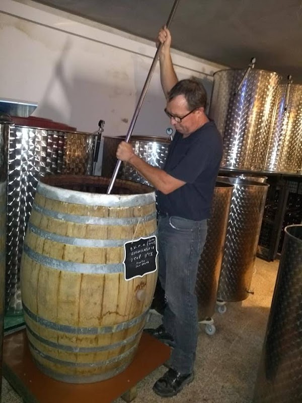 Selva Vins