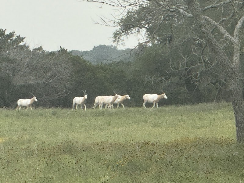 Stone Creek Ranch - Photo 4