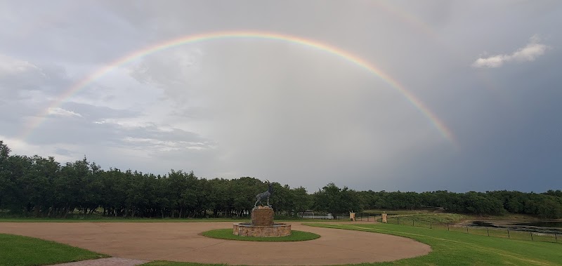 Stone Creek Ranch - Photo 6