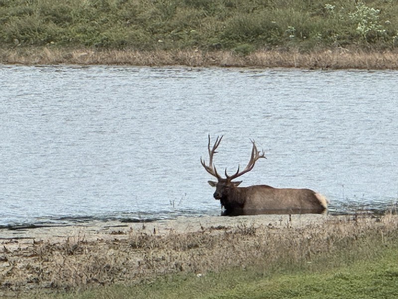 Stone Creek Ranch - Photo 3