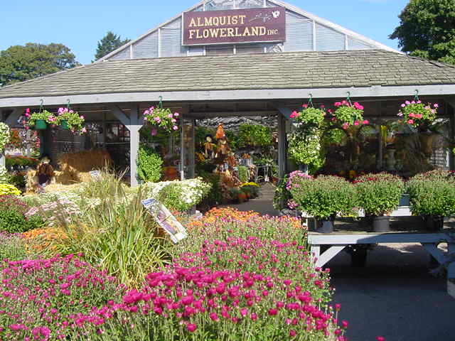 Almquist Flowerland: Google Places image 5
