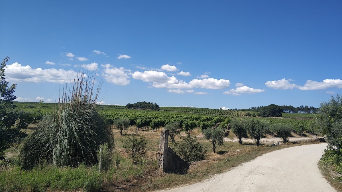 Quinta de São Simão da Aguieira