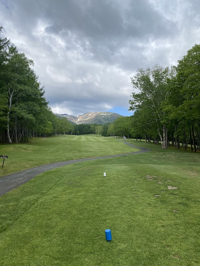 Nakazawa Village Forest Golf Course - Photo 7