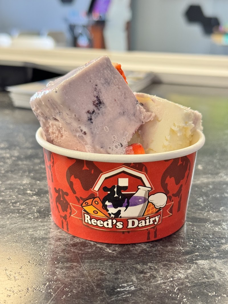 The Grid Cafe photo 3