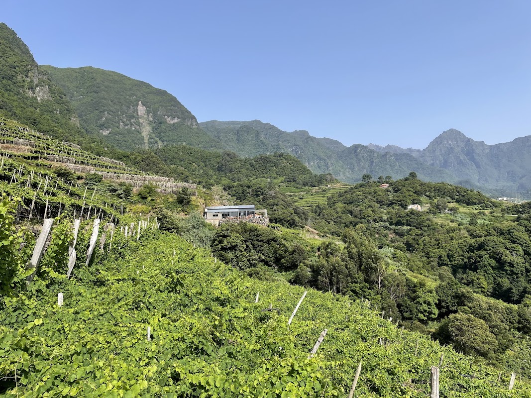 Quinta do Barbusano winery
