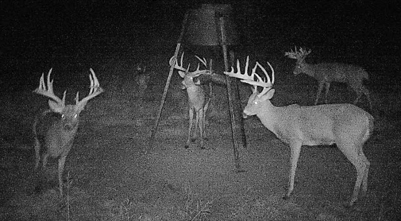 Kansas Trophy Outfitters - Photo 3