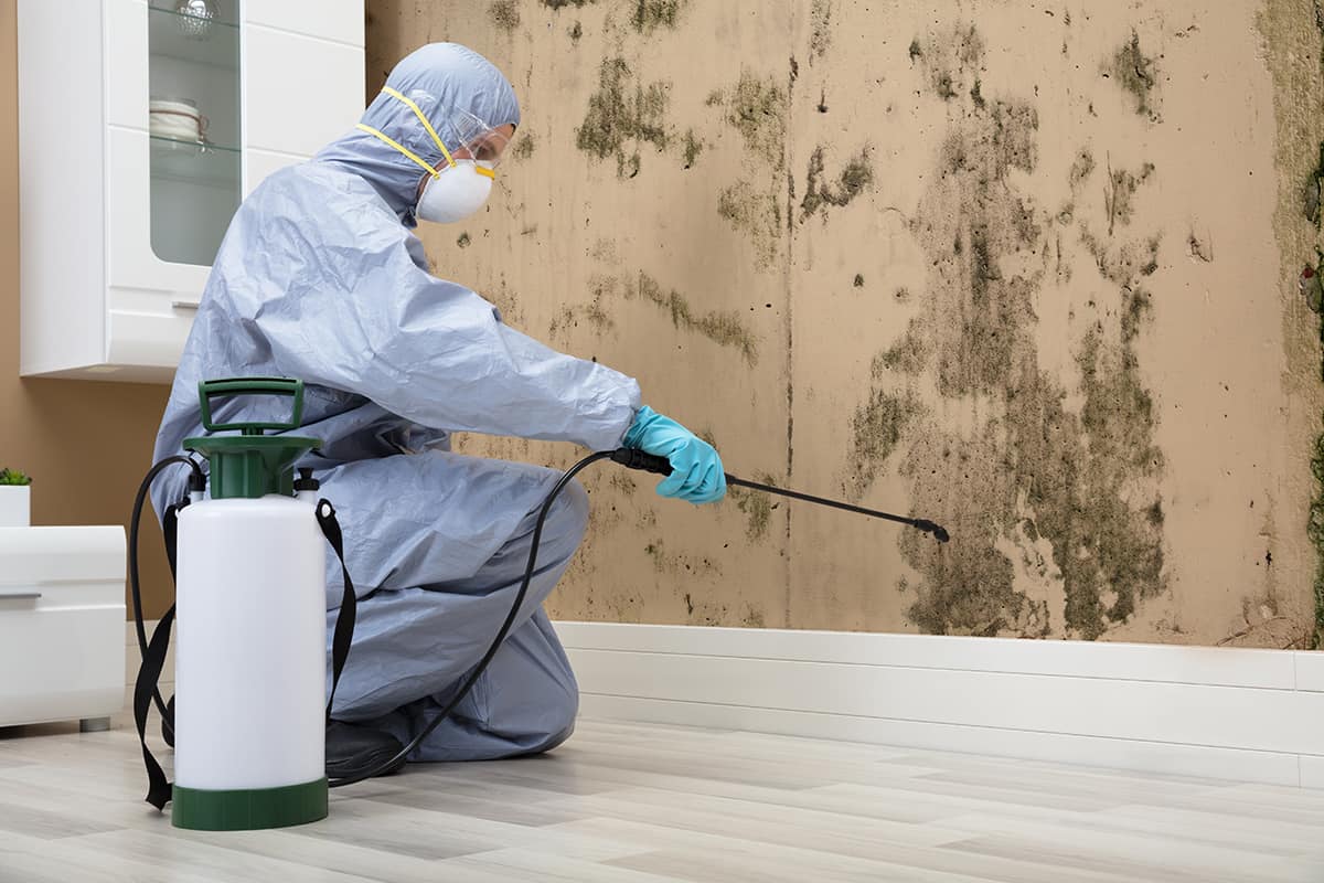 Mold Remediation of Orlando — photo