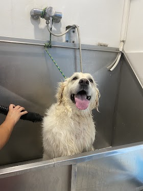 Hospital Veterinario Ávila El Puerto - Urgencias presenciales 24h