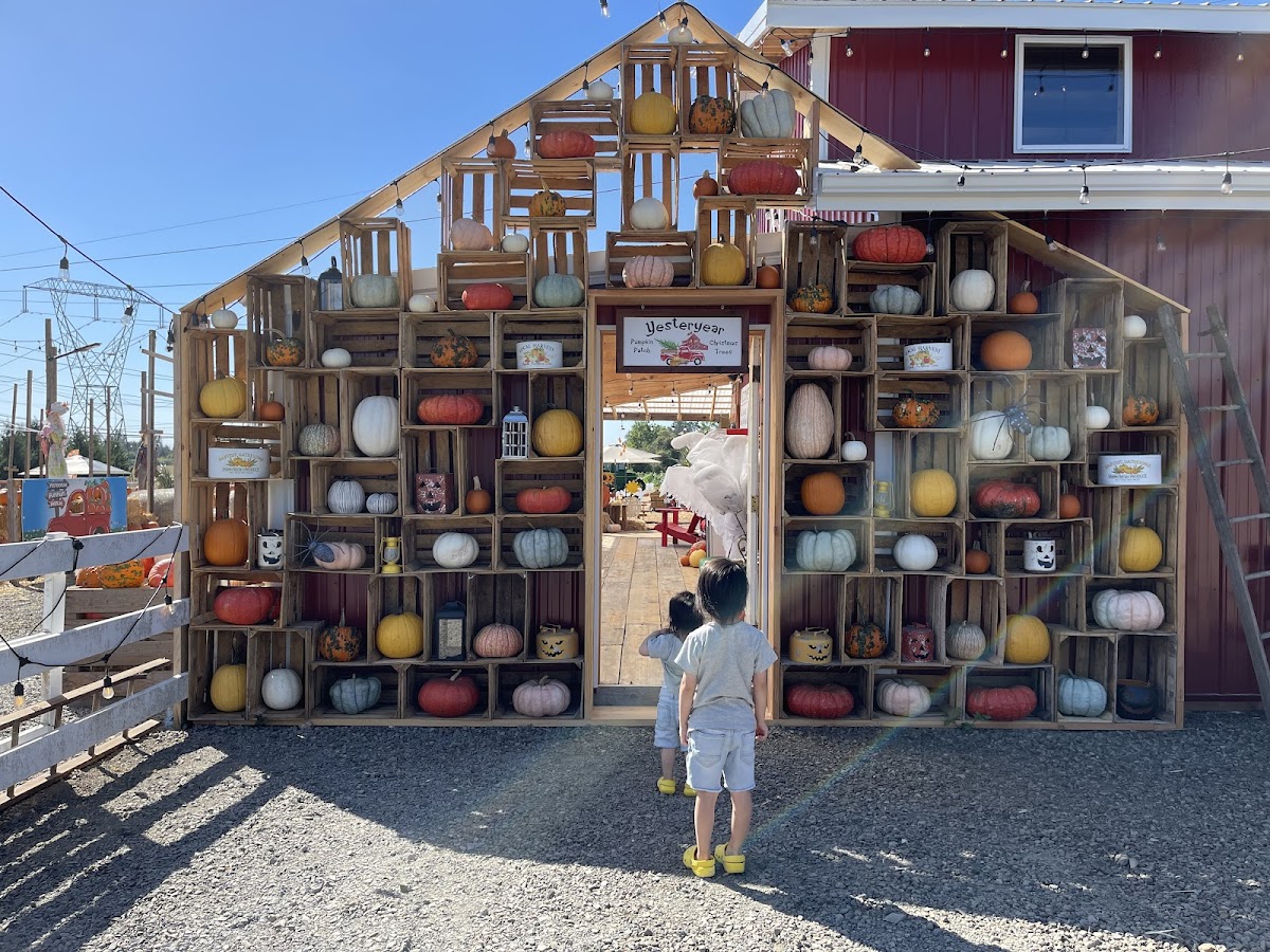 Yesteryear Farms