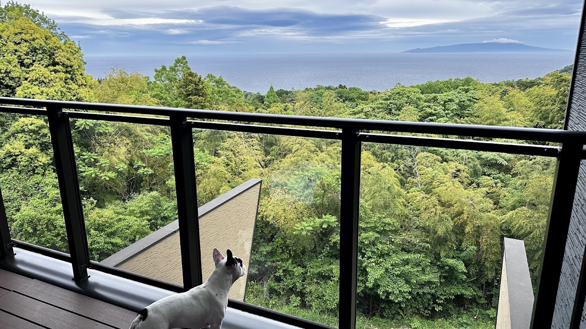 犬宿しらくらの外観