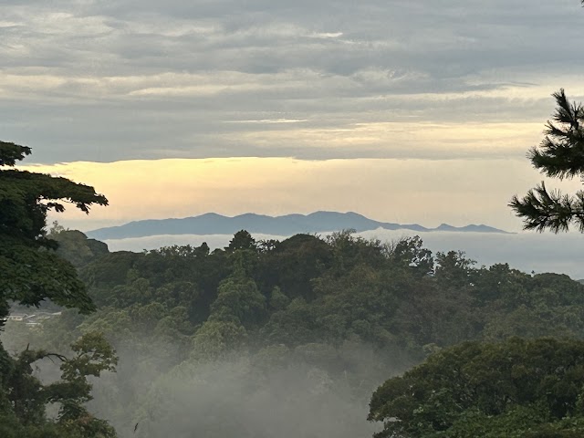 Kamakura Country Club - Photo 9