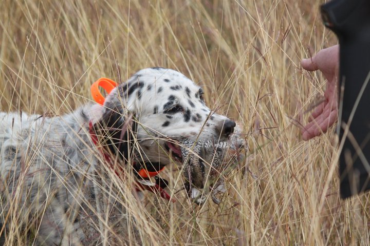 Flat Rock Creek Ranch - Photo 6