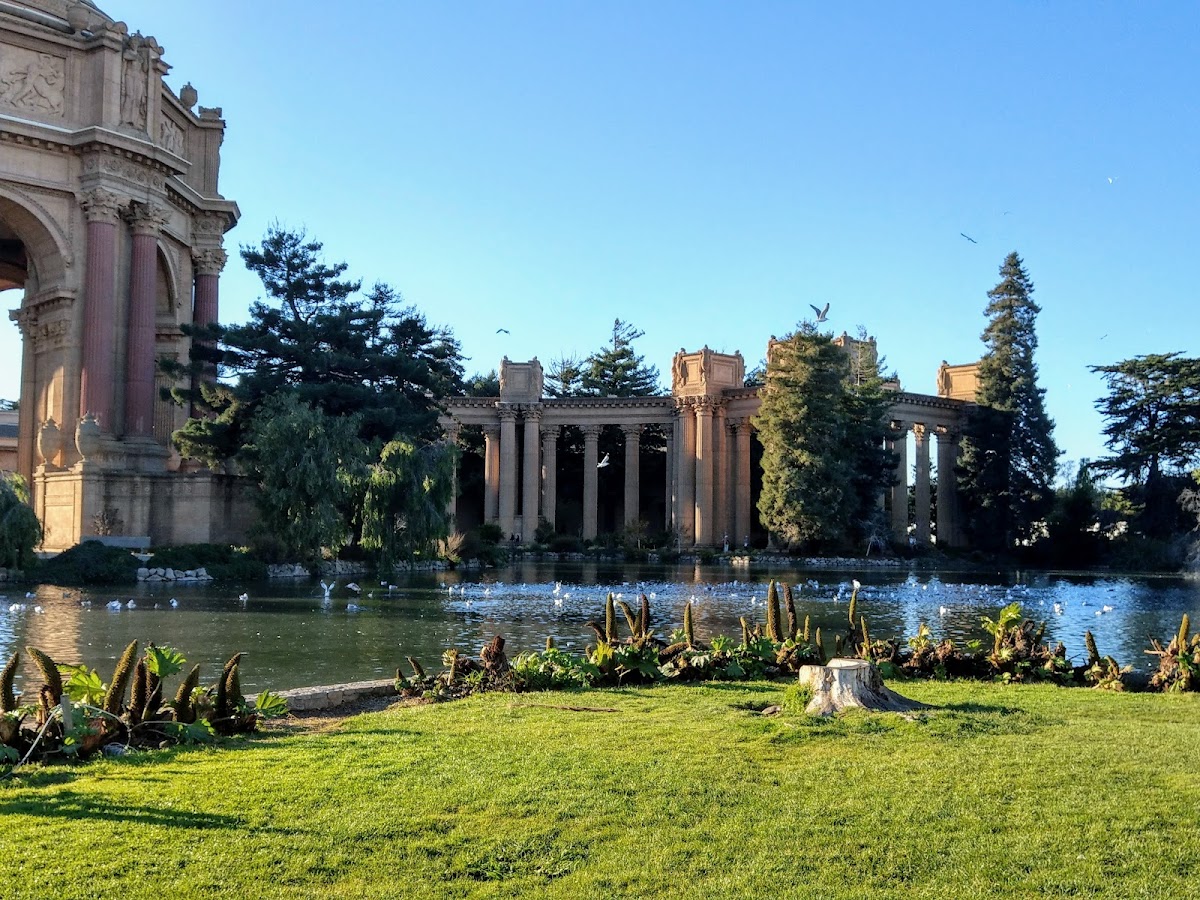 Palace of Fine Arts: Google Places image 3