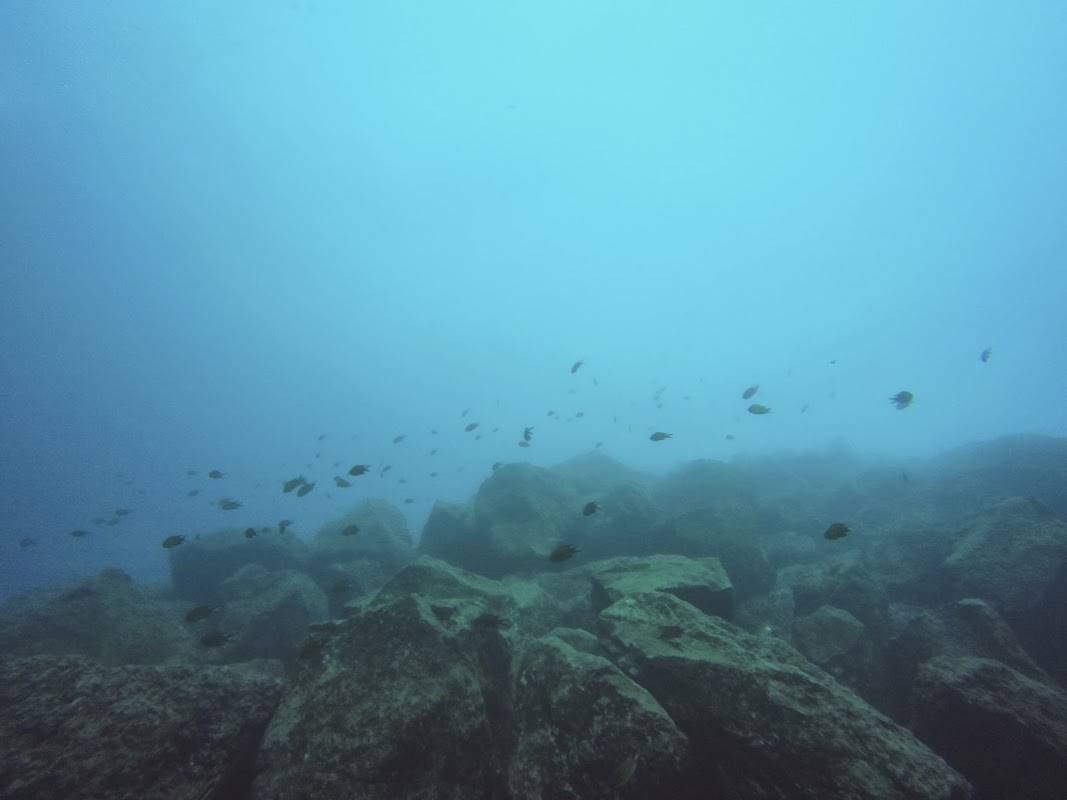 Diving & Snorkeling in La Orotava