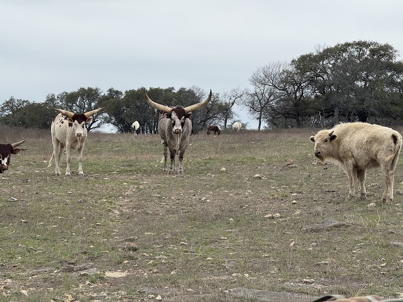 6S River Ranch - Photo 4