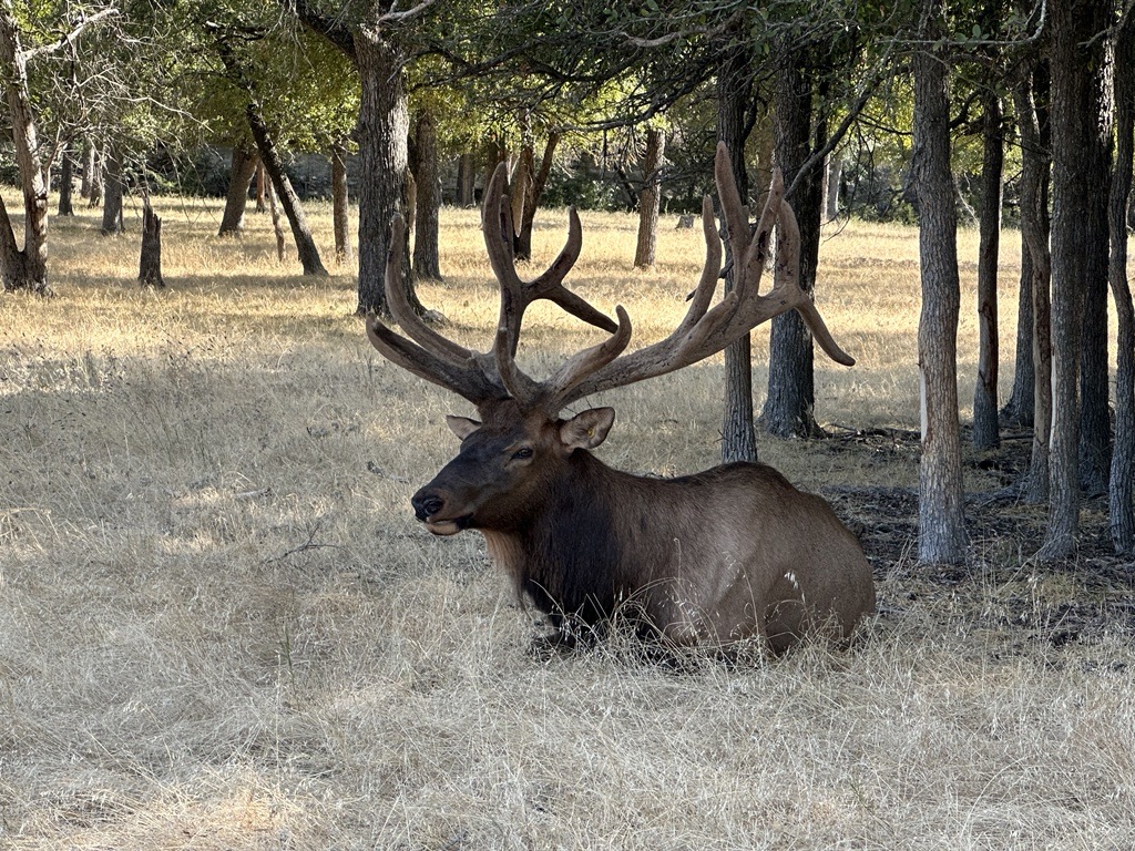 6S River Ranch