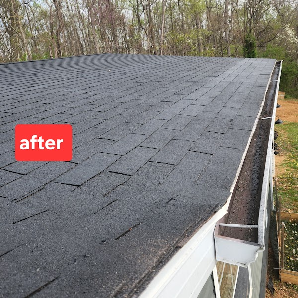The Roof Warrior