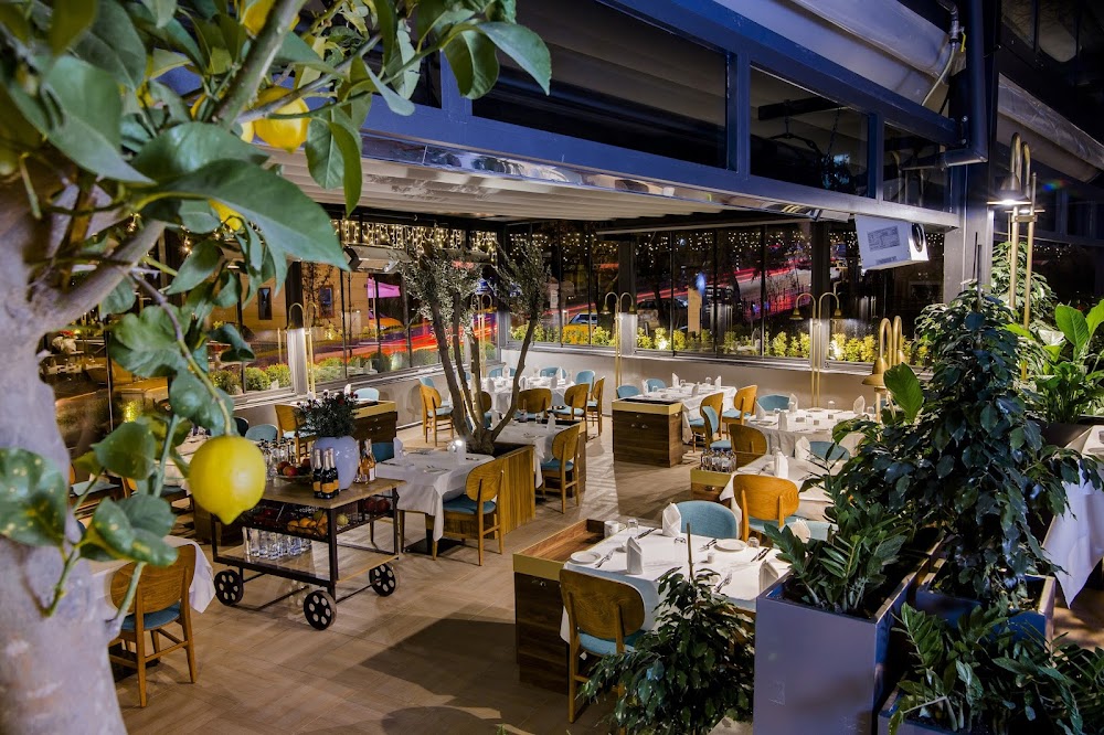Trilye Restoran fotoğraf 1