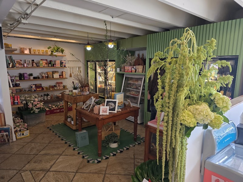 WOLFMOON Naples photo 1