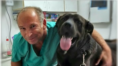 מרפאה וטרינרית ד"ר ון-דאם