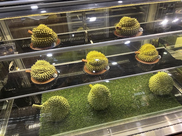 Moonlight Cake House