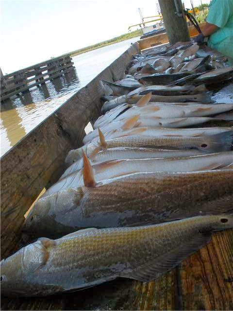 Saltgrass Outdoors Lodge - Fishing Charter - Hunting Trips - Photo 3