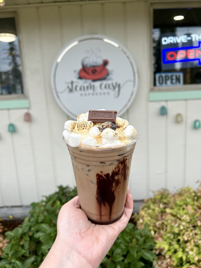 Steam Easy Espresso photo 4