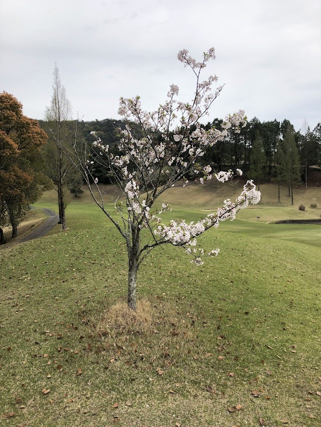 Hanamatsuri Golf Club - Photo 9
